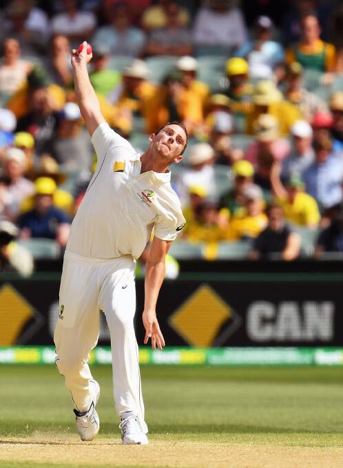 Tireless: Josh Hazlewood bowled 119 overs during the four-Test series in India.