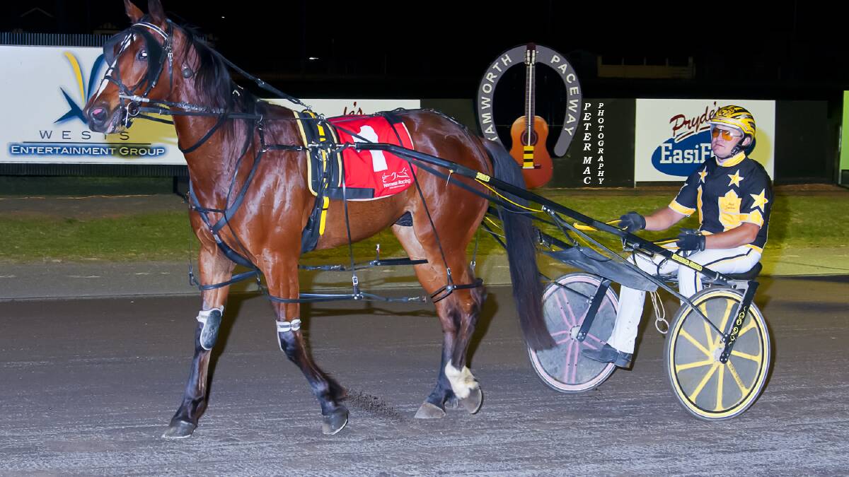 Dreaming of Golden Horseshoe: Ryabby is one of two live contenders for Uralla trainer Mitch Faulkner in the $10,200 three-year-old feature being run and won at Armidale Paceway on Sunday afternoon.