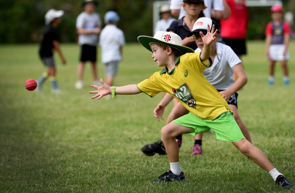 Within touching distance: Jace Single looks to reach for this flier during the junior cricket clinic. Photo: Gareth Gardner 200117GGA12