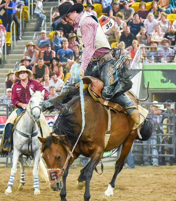 Hold onto me: Brodie Pendergast displays a tight grip while competing in the saddle bronc class at Tamworth. 280117PHB0691