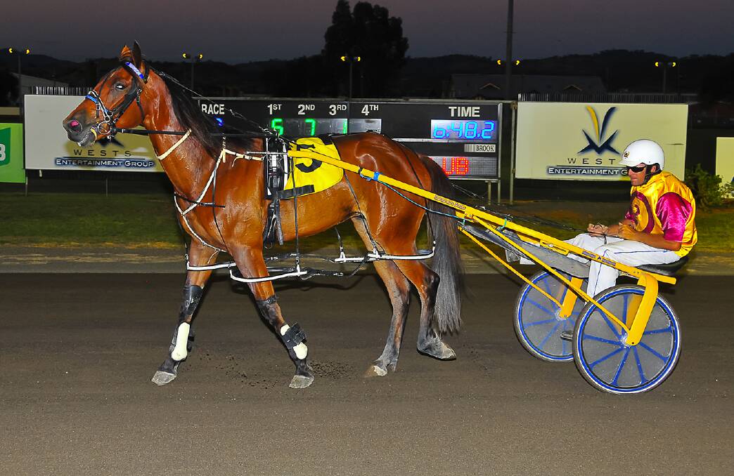 Nice performance: Clintal Do justified the trip down from Warwick to Tamworth by winning a Star Maker heat on Sunday night for trainer-driver Dayl March.