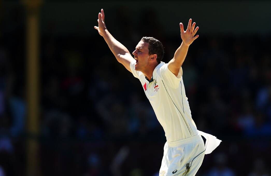 Heading to the sub-continent: Bendemeer's Josh Hazlewood is among the 16 players selected on Sunday for the Test tour to India. Photo: Getty Images