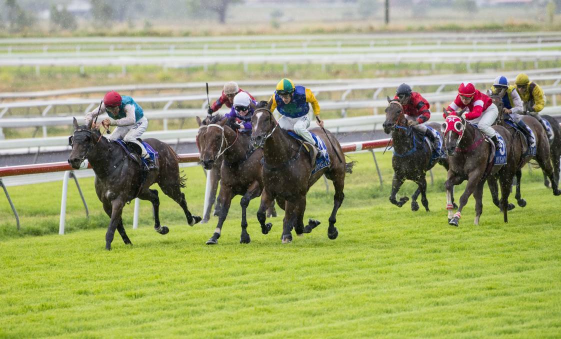 Emerging customer: Bullet Kid (left), who has been in a rich vein of form for trainer Craig Martin, features among the nominations for Tuesday's Tamworth meeting. Photo: Peter Hardin