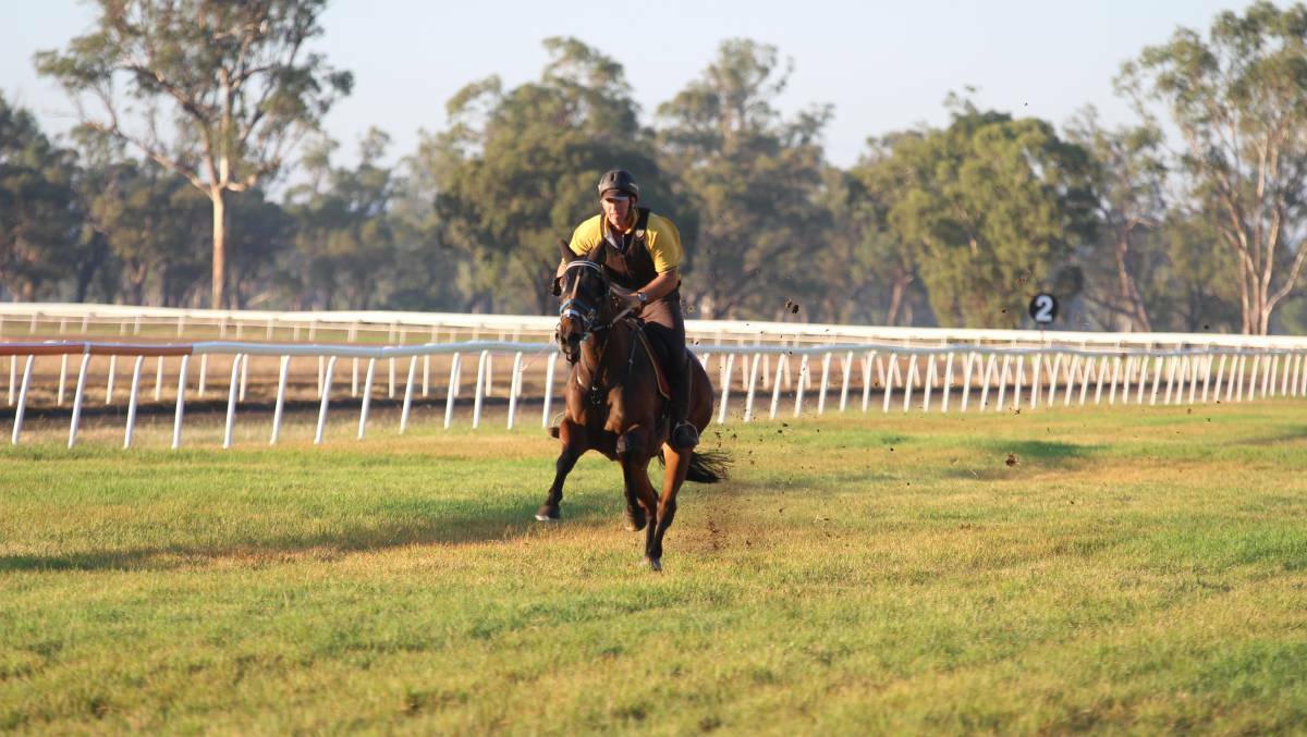 ON THE GO: Gunnedah trainer Gavin Groth heads to Scone on Friday with a real sense of anticipation with About Time and In Hindsight in the Country Championship Preview.