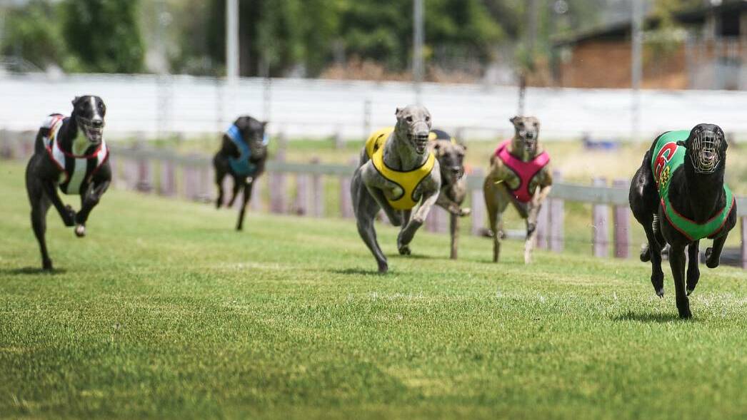 Trackside: Tamworth played host to a 10-race card on Saturday.