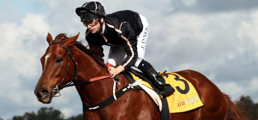 Touch of quality: Royal Engineer is growing into a nice horse for Tamworth trainer Mark Mason and generates interest at Muswellbrook on Thursday.