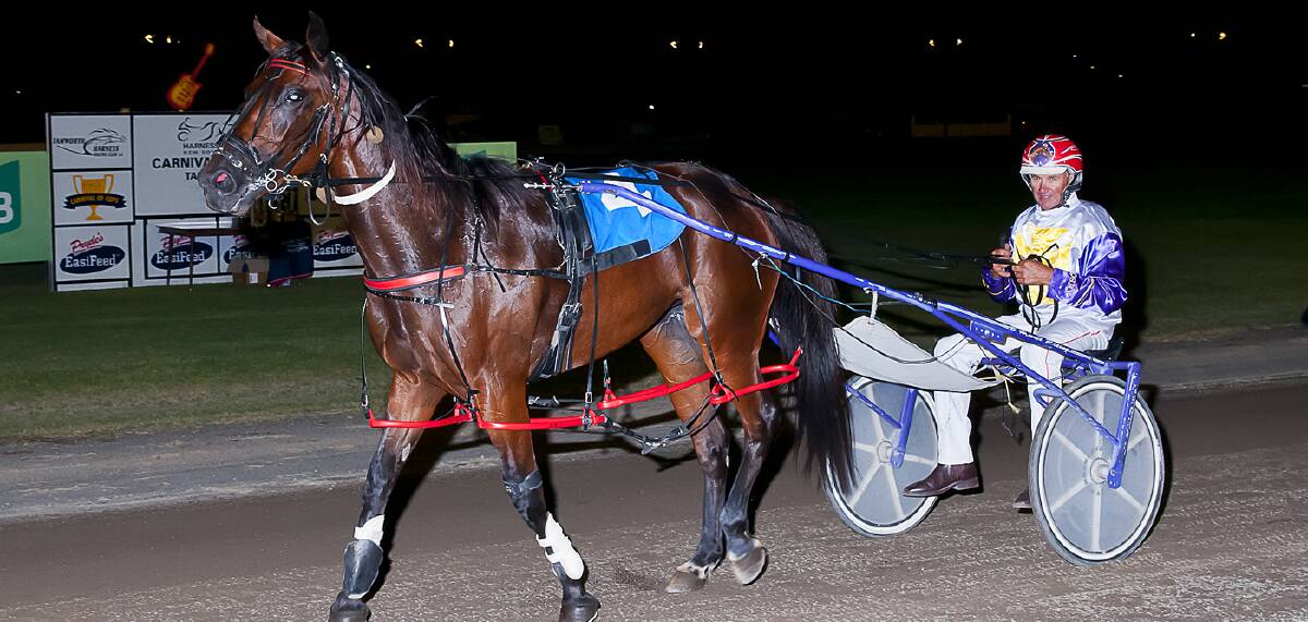 Impressive performer: I'm With Lexy, with trainer-driver Bernie Hewitt, won the Tamworth HRC Star Maker Final. Picture: Peter Mac Photography 