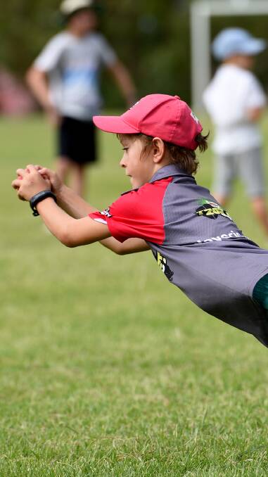 Talk about a classic: Coby Single is captured taking a very sharp catch during the cricket clinic. Photo: Gareth Gardner 200117GGA10