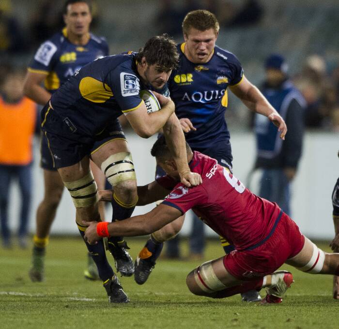Leading from the front: Quirindi's Sam Carter has been appointed co-captain of the ACT Brumbies for the 2017 Super Rugby season alongside Christian Lealiifano. Photo: Jeffrey Chan, Canberra Times.