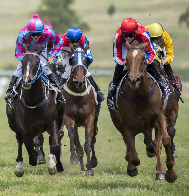 Outside chance: Bendemeer galloper Santiago (right) is rated a $21 chance of winning Friday's Quirindi Cup (1600m). Photo: Peter Hardin.