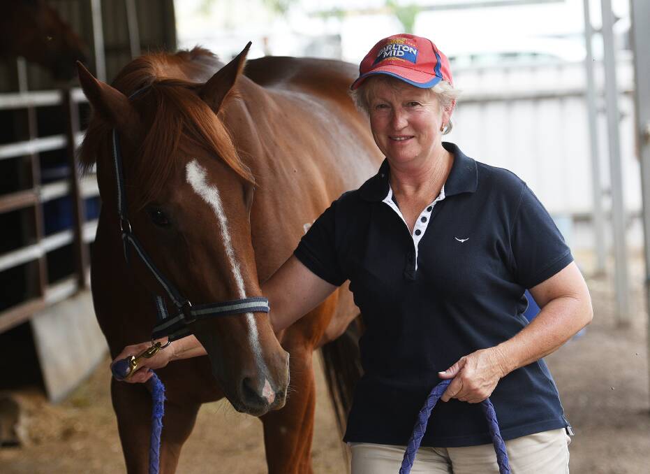 Ready to roll: Fickle Folly finally gets a dry track to resume at Muswellbrook on Thursday, much to the delight of Tamworth trainer Sue Grills. Photo: Gareth Gardner