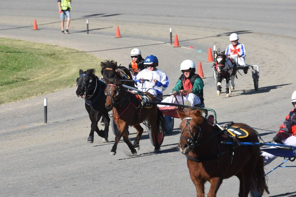Trackside: Tamworth Paceway was the busiest place in town at Easter as it hosted the NSW Mini Trot Championships. Photos: Gareth Gardner.