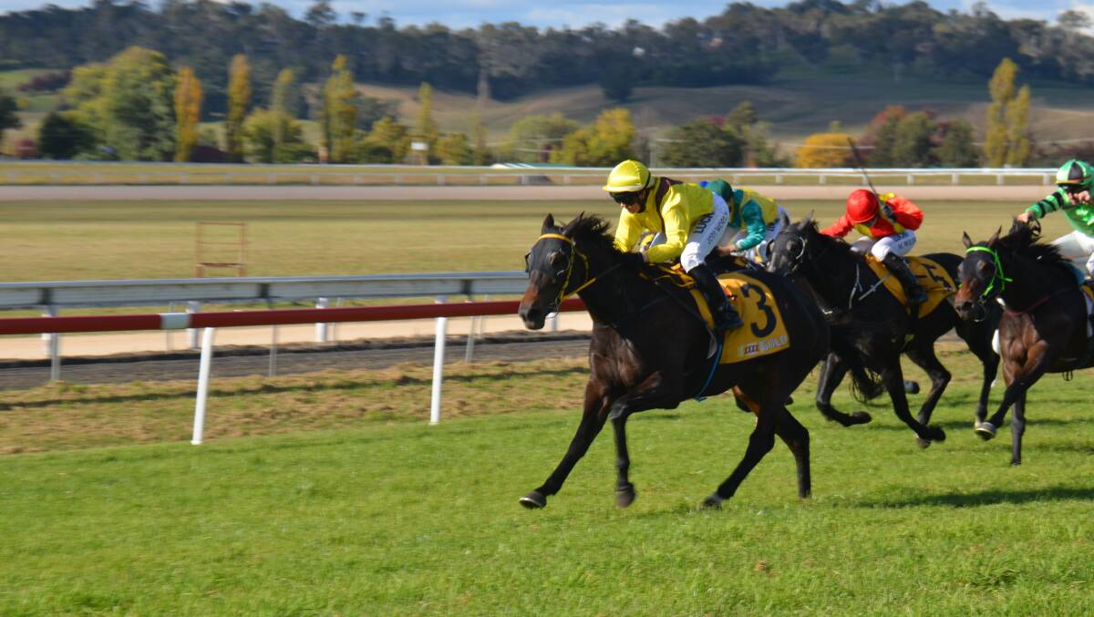 Top result: Supreme Goddess broke through for a welcome win this preparation at Armidale on Anzac Day with Jodi Worley in the saddle. Photo: Ellen Dunger.