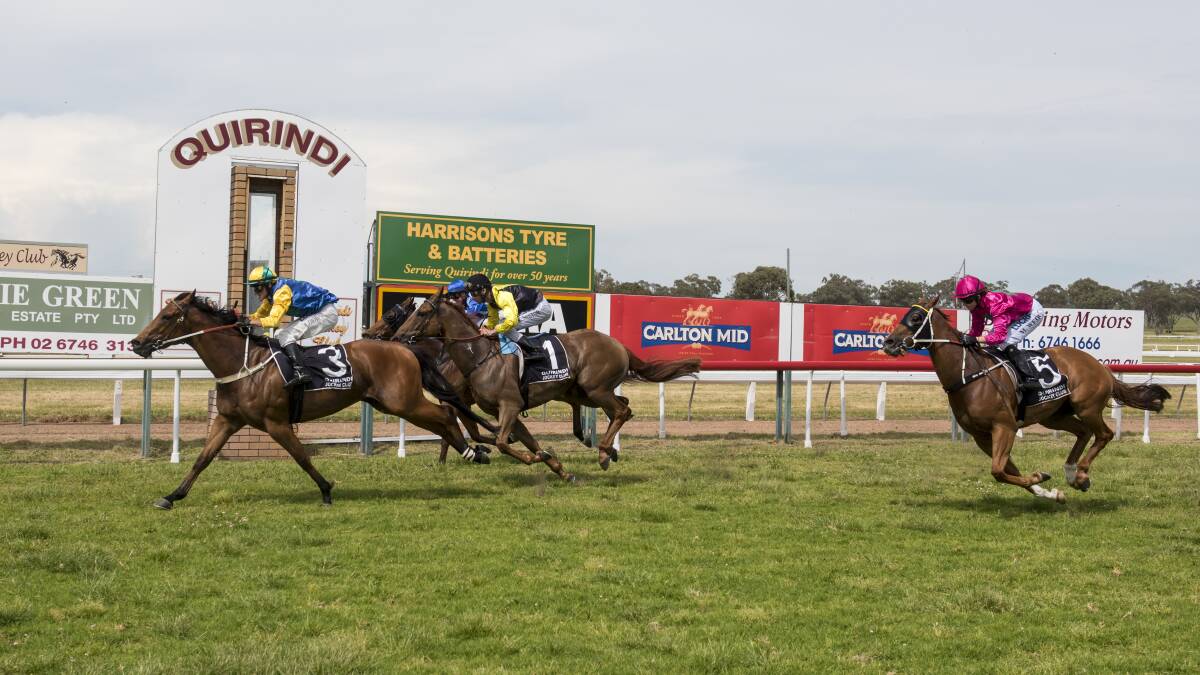 Smart speedster: Hot Vinni, pictured here winning at Quirindi in November, resumes in Monday's April Sprint (1100m) at Scone.