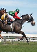Armidale plays host to a seven-race thoroughbred racing card on Tuesday.