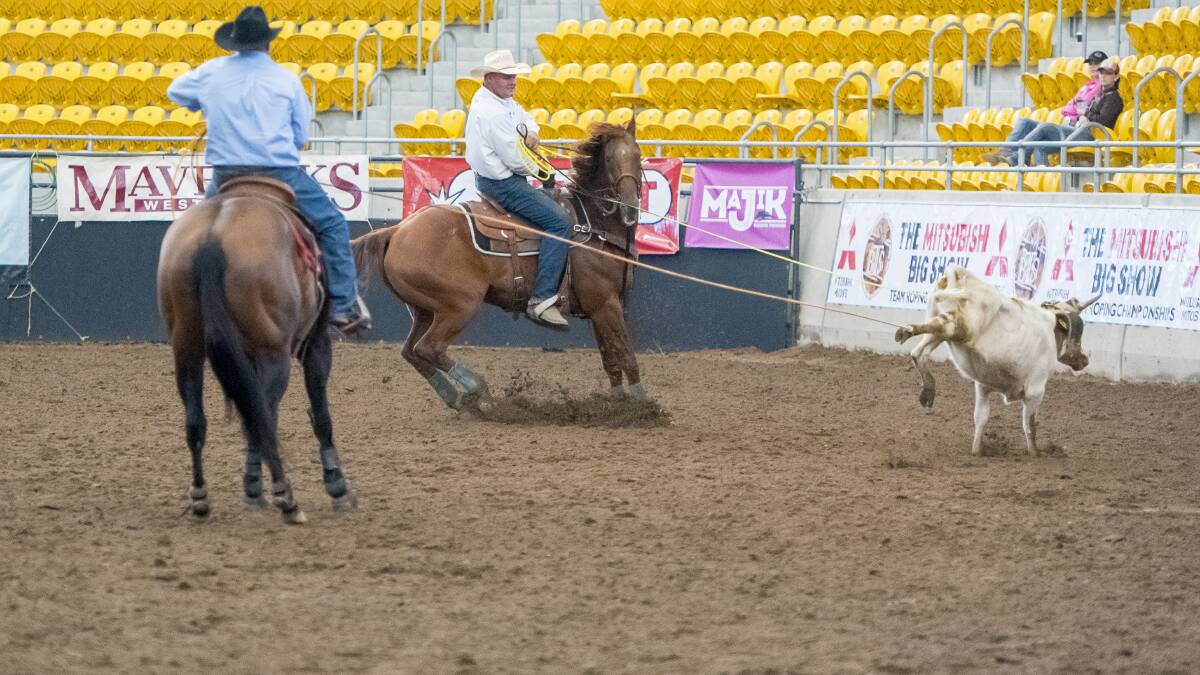 
Caught: Shane Kenny and Johnny Osborne teamed up in unison to get the better of this  calf at AELEC Arena. Photo: Peter Hardin 220217PHE264
