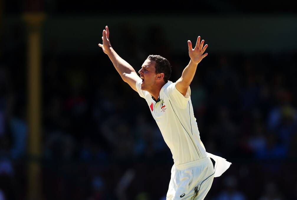Still the best: Josh Hazlewood is the world's top Test fast bowler.