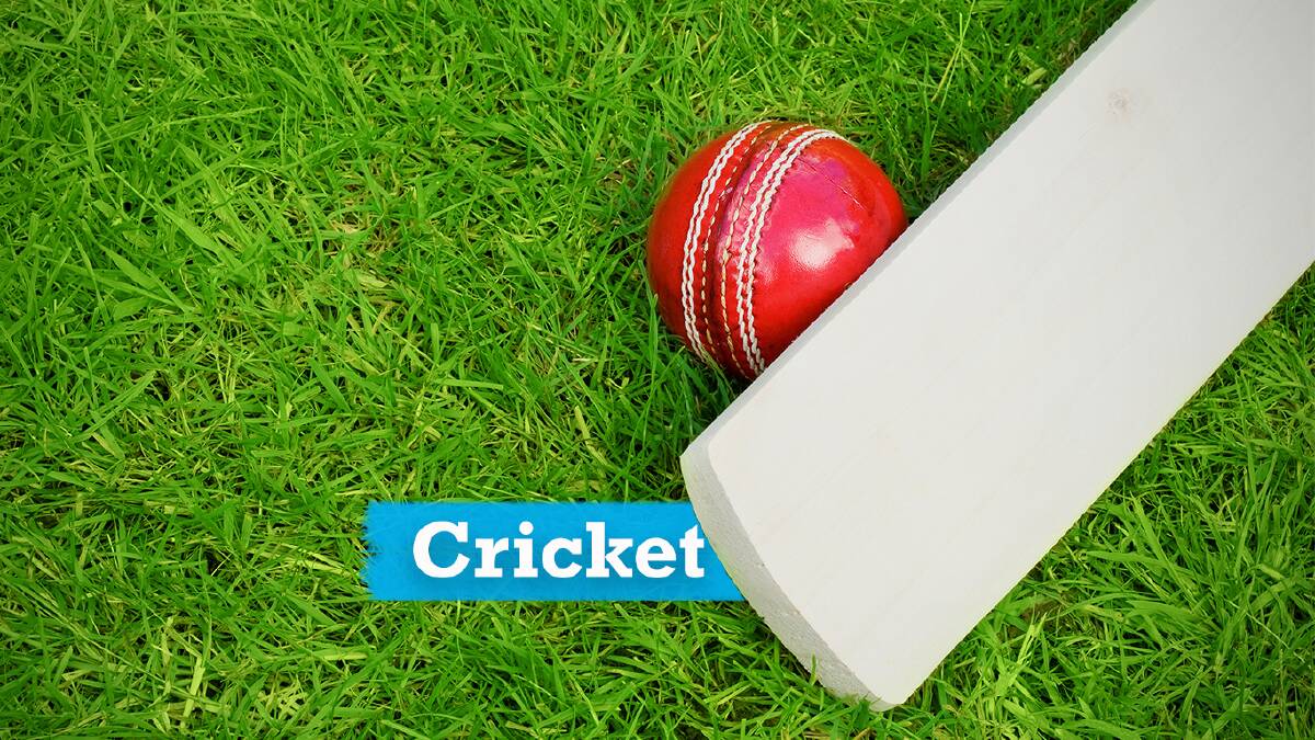 Tamworth Junior Cricket Association has named representative teams.