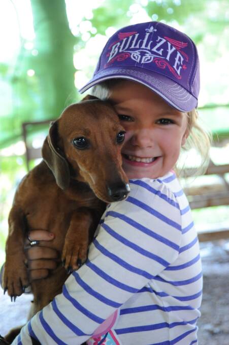 Pat a pet: Daisy Bartlett found a beautiful little sausage dog to cuddle at last year's show.
