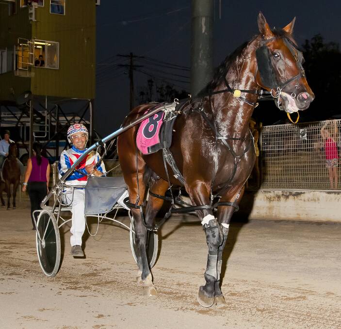 Triple hopes: Ultimate Art and Michael Formosa after winning the 2014 Gold Nugget. Formosa will start three runners in Sunday's Tamworth Harness Racing Club meet. Photo: PeterMac Photography 