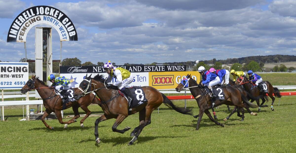 Photo finish: Leon Davies' No Angel Here (8) flies home down the outside to win in a photo finish from Favourite Sister. Photo: Harold Konz.