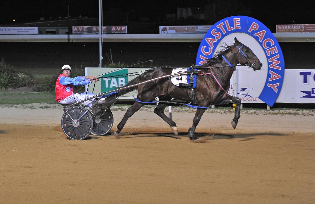 Winning run: Who Killed Kenny, with Danny Mackney in the spider, passes the winning post at Newcastle on Saturday night. Photo: Sarah Whalland Firstplacephotography
