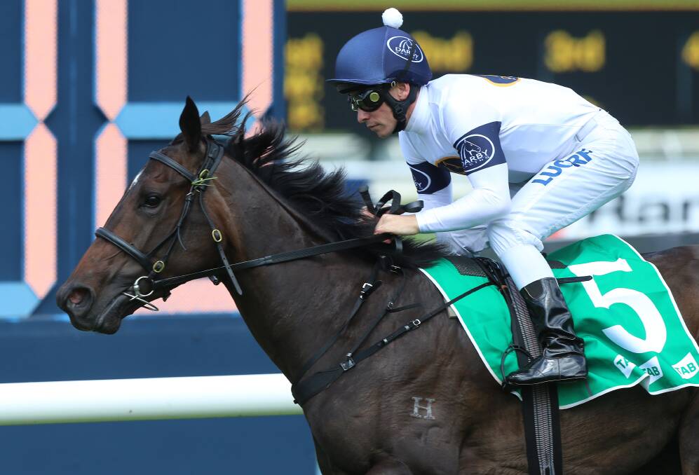 Golden chance: She Will Reign, which Andrew Pieper is a part-owner of, is one of the Golden Slipper favourites. Photo: Bradleyphotos.com.au