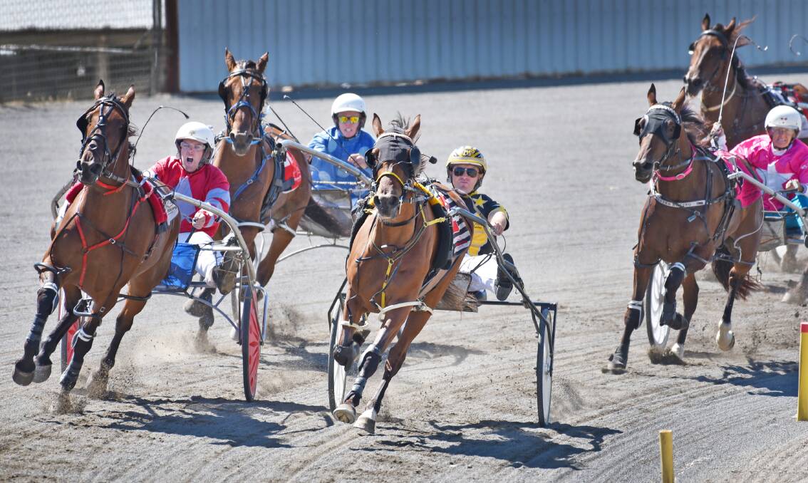 In the drivers seat: Mitch Faulkner, here making the inside run in a meeting earlier this year, will have several runners in Sunday's Tamworth Harness Racing Club meeting. 