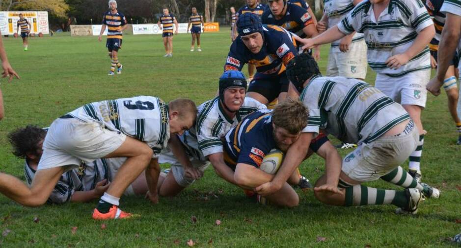 Try-time: Armidale's Peter Cumming scores against Robb College last year. The two sides will do battle in the opening round of the season on Saturday. 