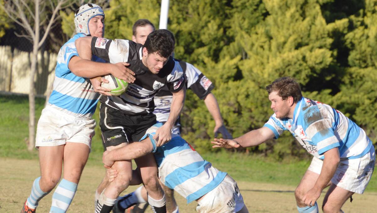 Drive forward: Magpies centre Dylan Cross tries to fight his way through the Quirindi defence during their recent encounter. The two match up again today.