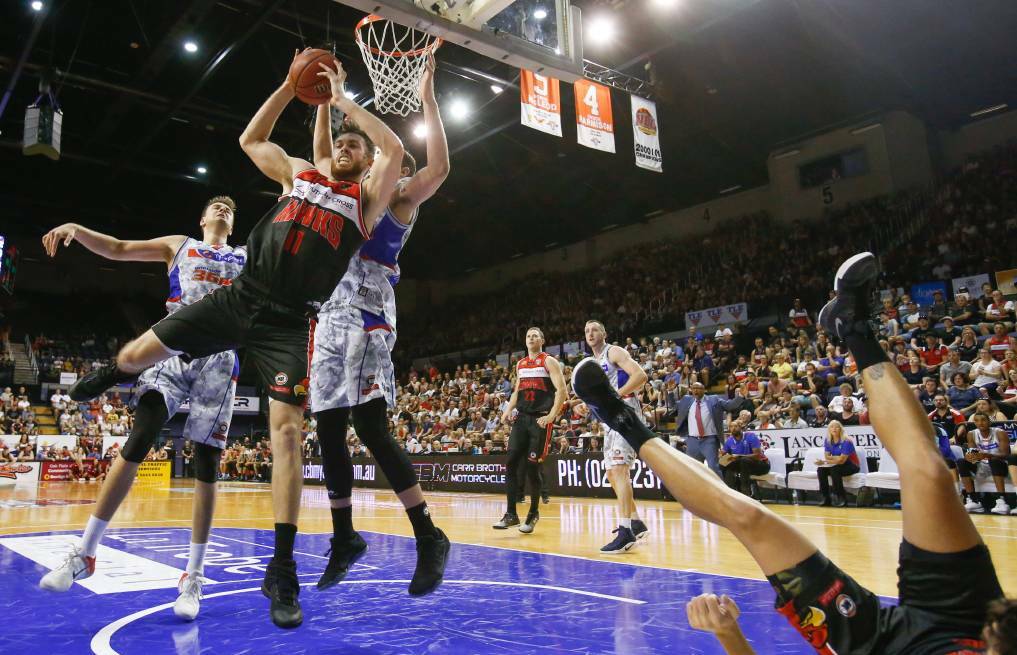 Here we go: Nick Kay and his Illawarra Hawks are through to the NBL grand final series after winning game three on Friday. Photo: Adam McLean.