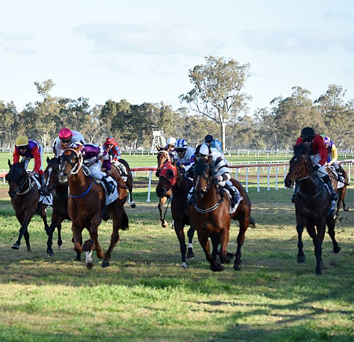 Ticking along: Quirindi-trained Times Ticking (second from right) goes to the line for a narrow win in Monday's Manilla Cup at Gunnedah. HNWRA action now turns to Times Ticking's home track on Sunday. Photo: Geoff O'Neill.