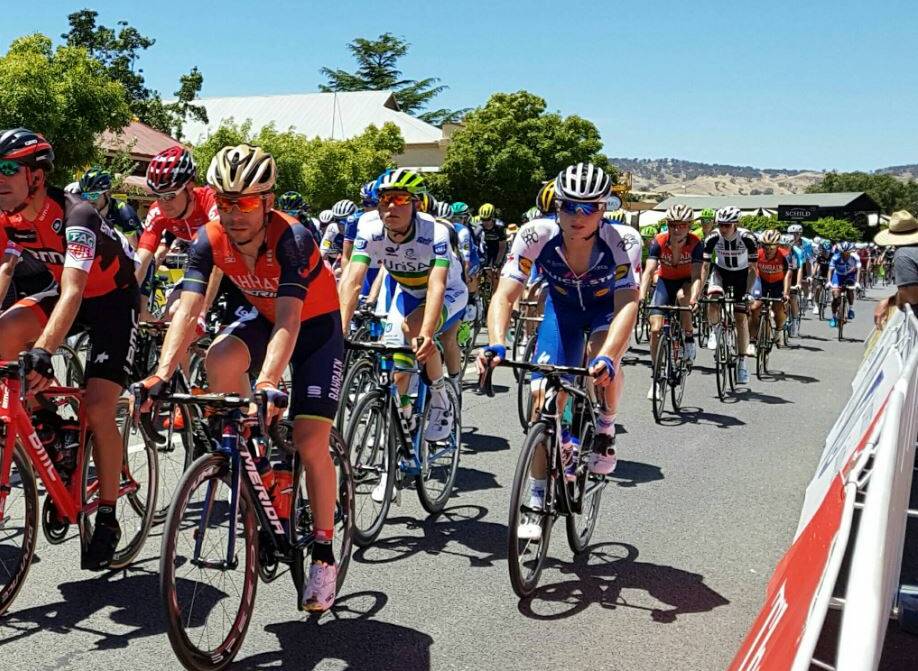 Armidale's Sam Jenner (white shirt in middle) competing in Tuesday's first stage of the Tour Down Under.