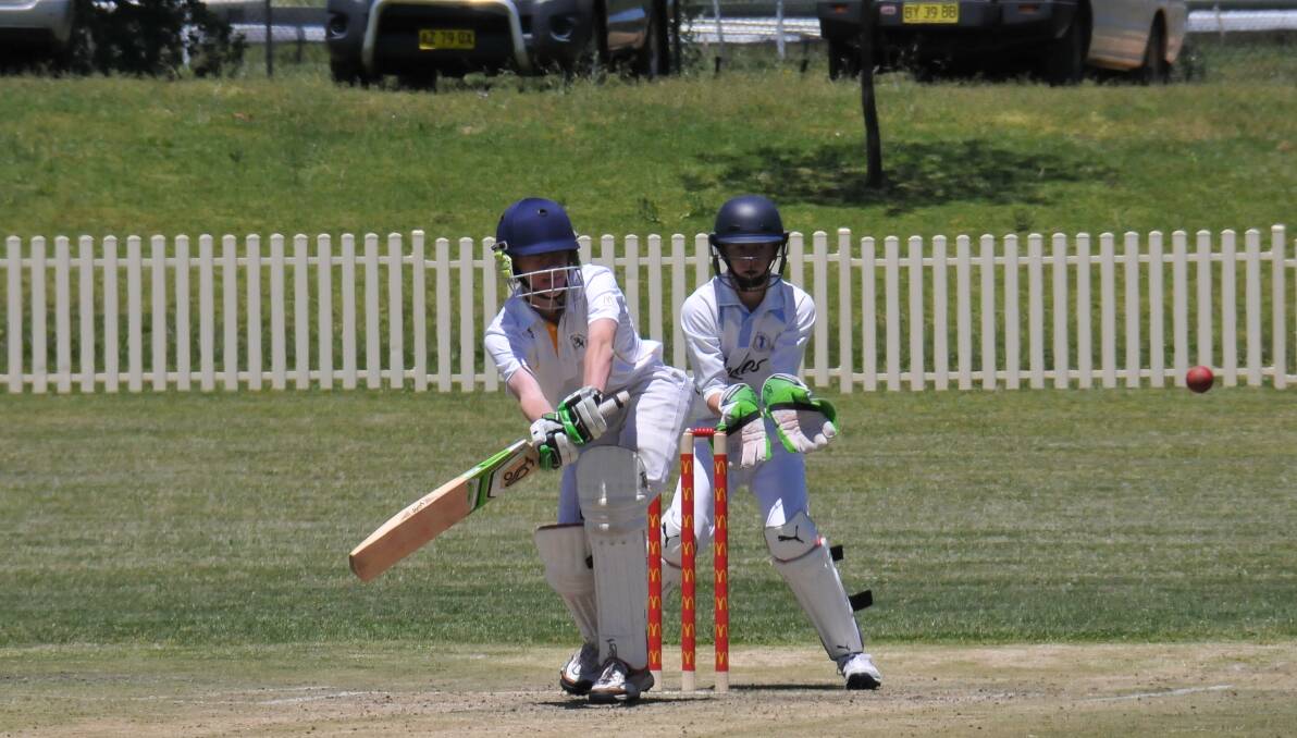 Rep duties: Armidale's Henry Smith will have a role to play with the gloves and bat for Central North at this week's Bradman Cup.