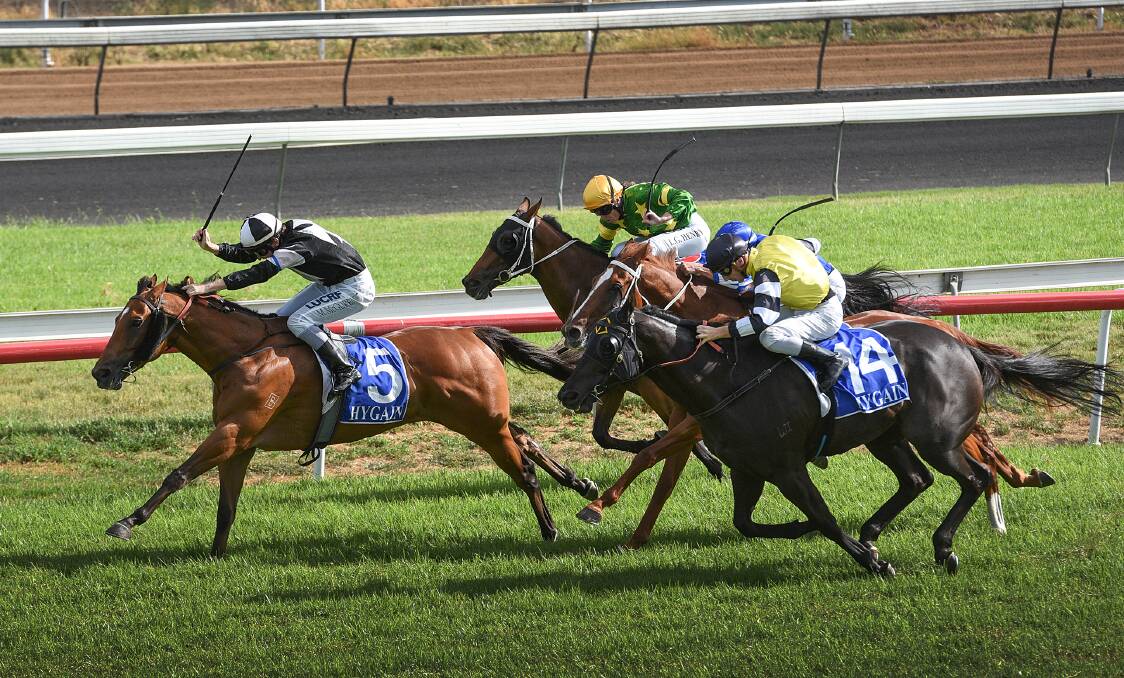 Powerful run: Eye on America surges down the straight to win the In Memory of Riharna Thomson Benchmark 55 at Tamworth on Tuesday. Photo: Gareth Gardner