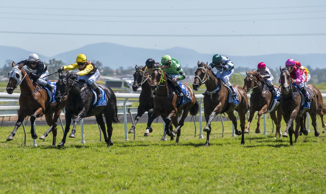 Winning ride: Rachael Murray surges Lady Balladeer (second from left) to a long neck win in the Maiden Plate at Tamworth on Monday. It was the mare's first win after 15 starts Photo: Peter Hardin. 101016PHB021