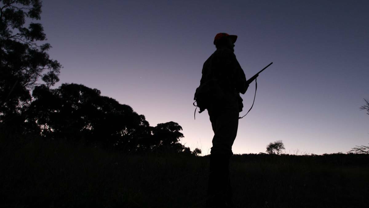 The hunter: Culling deer would be easier if the animal was classed as a pest, MPs were told by representatives from the Illawarra on Thursday.
