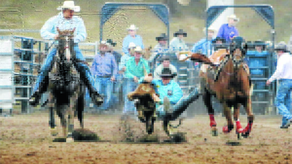 Steer wrestling champion Blake Hallam in action at the AELEC this year.