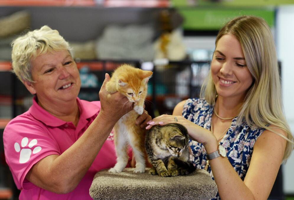 REMINDER: Pet-owners urged to keep vaccinations up-to-date. PETstock manager Leslie Baker and new cat owner Sarah Wallis. Photo: Gareth Gardner 300117GGA02