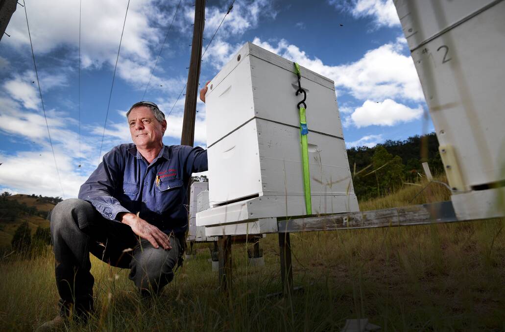 WIN-WIN: Tamworth beekeeper Tony Bradbery is looking for local green thumbs to adopt a number of bee hives. Photo: Gareth Gardner 270217GGA01