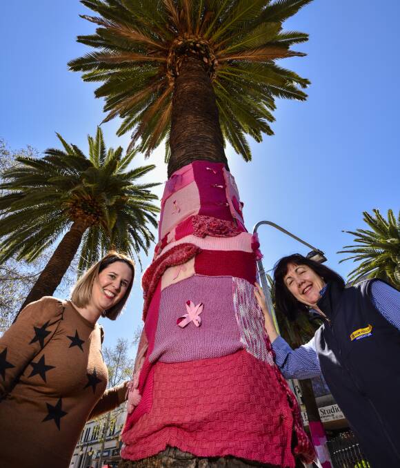 NIFTY KNITWEAR: Serendipity vice president Trina Constable and committee member Susan Goodwin with one of Peel Street's 'yarn-bombed' trees, raising awareness for breast cancer Photo: Peter Hardin 270916PHC013