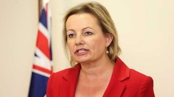Advice: Sussan Ley faces a tough job in selling the plans to cut Medicare.