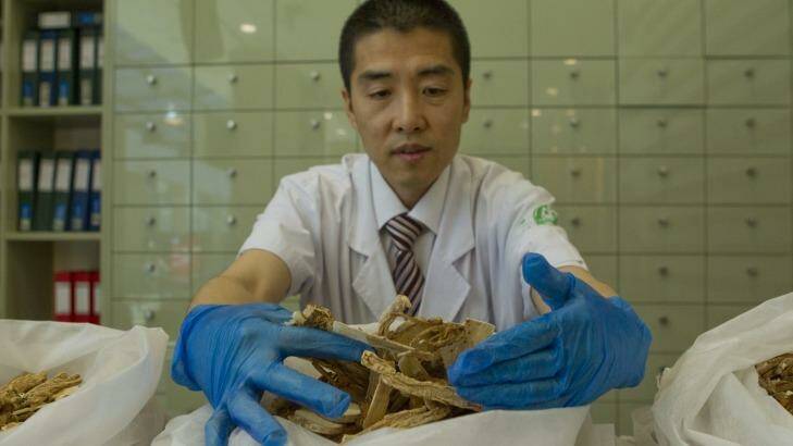 Shuquan Liu prepares ingredients at his Chinese Medicine Centre in Bondi Westfield. Photo: Lee Besford