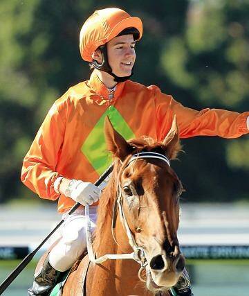 "He is right horse at the right time": Terravista at Warwick Farm in March. Photo: Jenny Evans