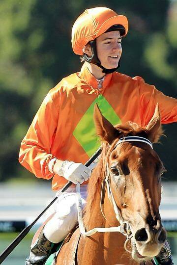 "He is right horse at the right time": Terravista at Warwick Farm in March. Photo: Jenny Evans