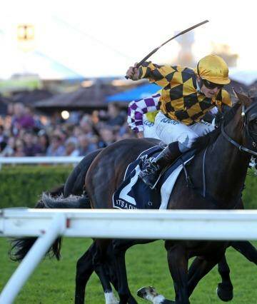 Dundeel racing: But tax parity between NSW and Victoria isn’t yet racing’s done deal. Photo: Damian Shaw