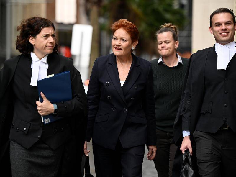 Pauline Hanson's tweet had predictable wide-ranging impacts, the Federal Court has been told. (Dan Himbrechts/AAP PHOTOS)
