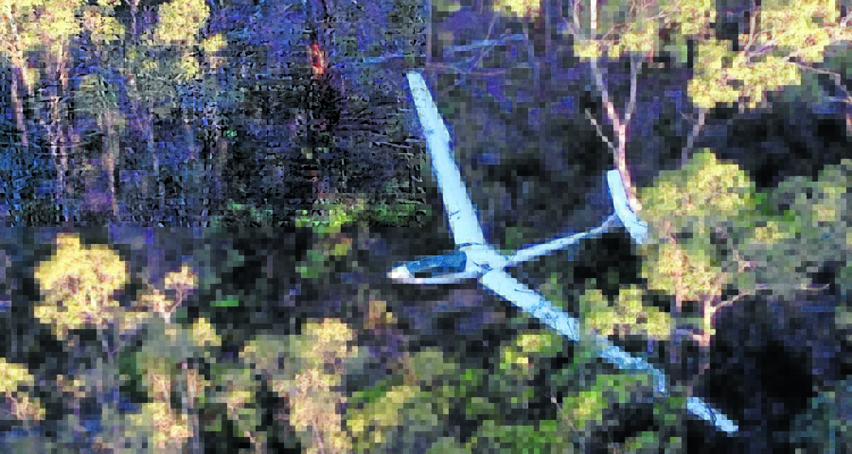 CRASH SITE: Paul Mander’s glider was a write-off after coming to ground in the Pilliga Forest.