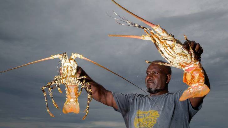 Fisherman, Harry Ghee, with his crayfish catch,  on Erub Island in the Torres Strait.  Photo: Janie Barrett