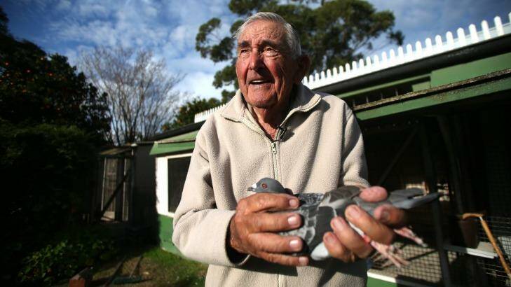 Keith Wrightson, champion pigeon racer has been involved with the birds since 1935. Pictured in his backyard in Carlton, NSW. Photo: Tony Walters